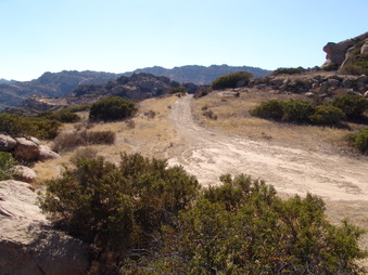 Enlarge photo 24