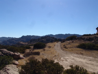 Enlarge photo 25