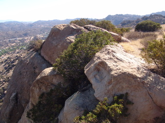 Enlarge photo 32
