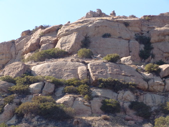 Enlarge photo 36