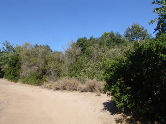 Enlarge photo 4