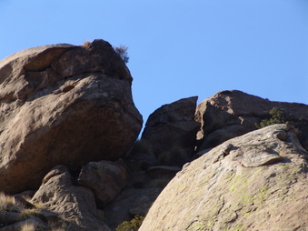 Enlarge photo 6