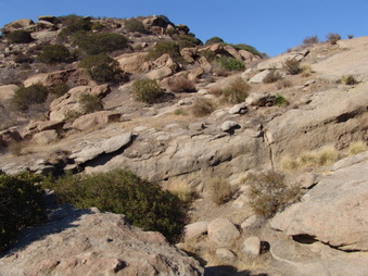 Enlarge photo 12