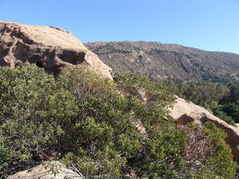 Enlarge photo 14
