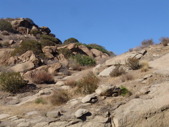 Enlarge photo 16