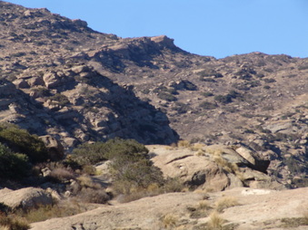 Enlarge photo 38