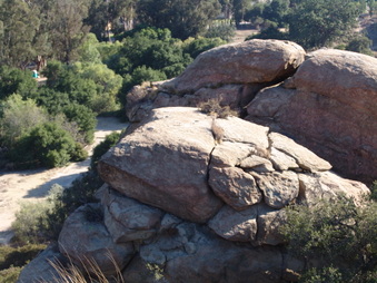 Enlarge photo 39