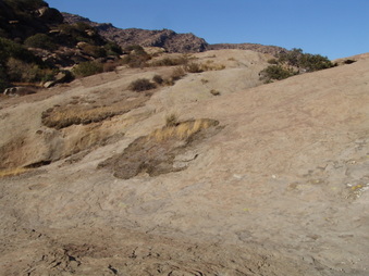 Enlarge photo 42