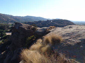 Enlarge photo 51