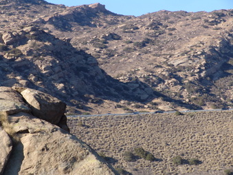 Enlarge photo 61