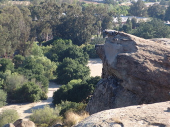 Enlarge photo 62