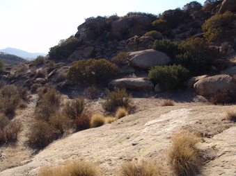 Enlarge photo 67