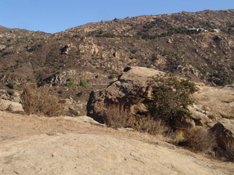 Enlarge photo 73