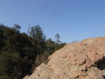 Enlarge photo 1