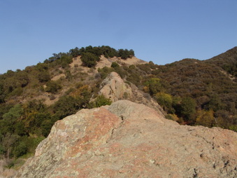 Enlarge photo 10