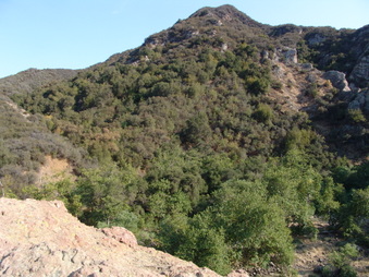 Enlarge photo 11