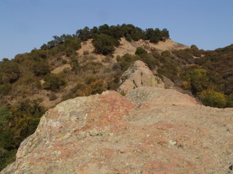 Enlarge photo 14