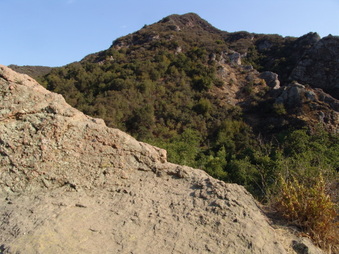 Enlarge photo 17