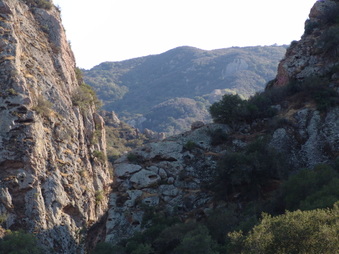 Enlarge photo 21