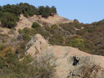 Enlarge photo 23