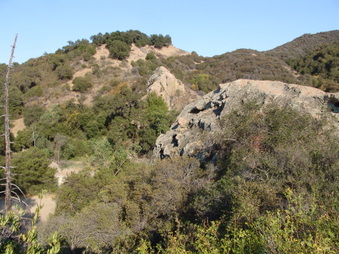 Enlarge photo 28