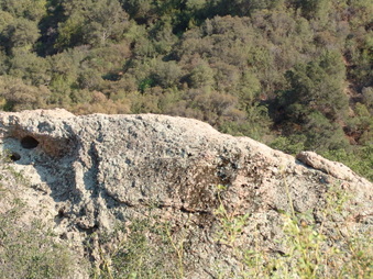 Enlarge photo 30