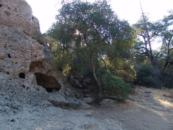 Enlarge photo 38