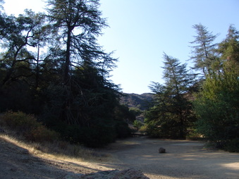 Enlarge photo 39