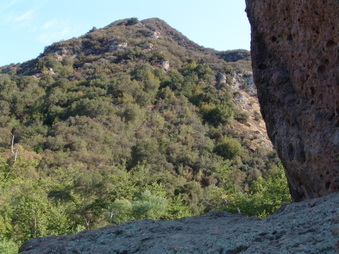Enlarge photo 40