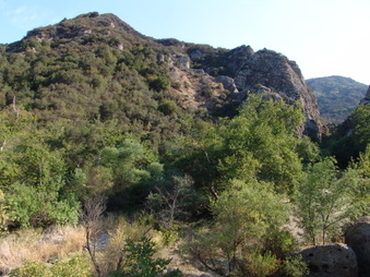Enlarge photo 44