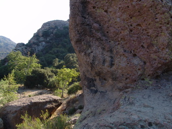 Enlarge photo 45