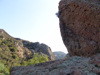 Enlarge photo 48