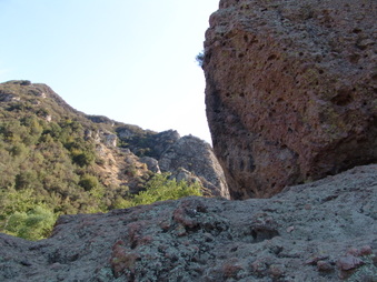 Enlarge photo 49