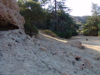 Enlarge photo 53