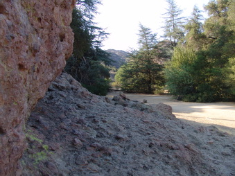 Enlarge photo 54