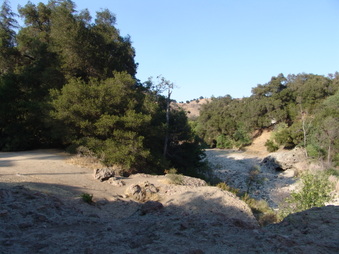 Enlarge photo 55