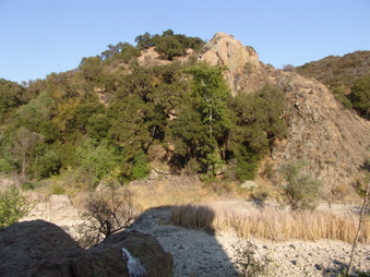 Enlarge photo 56