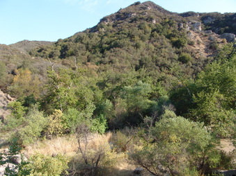 Enlarge photo 57
