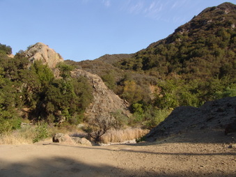 Enlarge photo 60