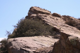 Enlarge photo 45