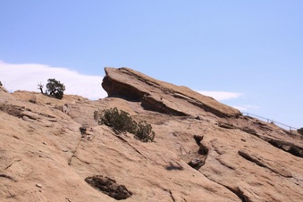 Enlarge photo 44