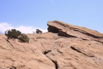 Enlarge photo 43