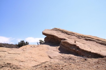 Enlarge photo 42