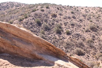 Enlarge photo 40