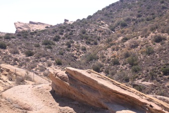 Enlarge photo 37