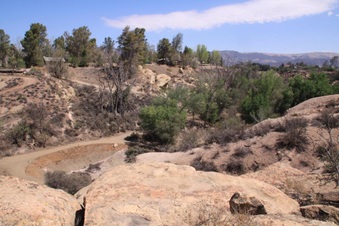 Enlarge photo 36