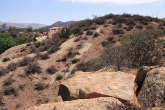 Enlarge photo 35