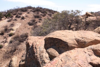 Enlarge photo 34