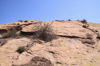 Enlarge photo 31