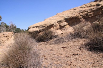 Enlarge photo 30
